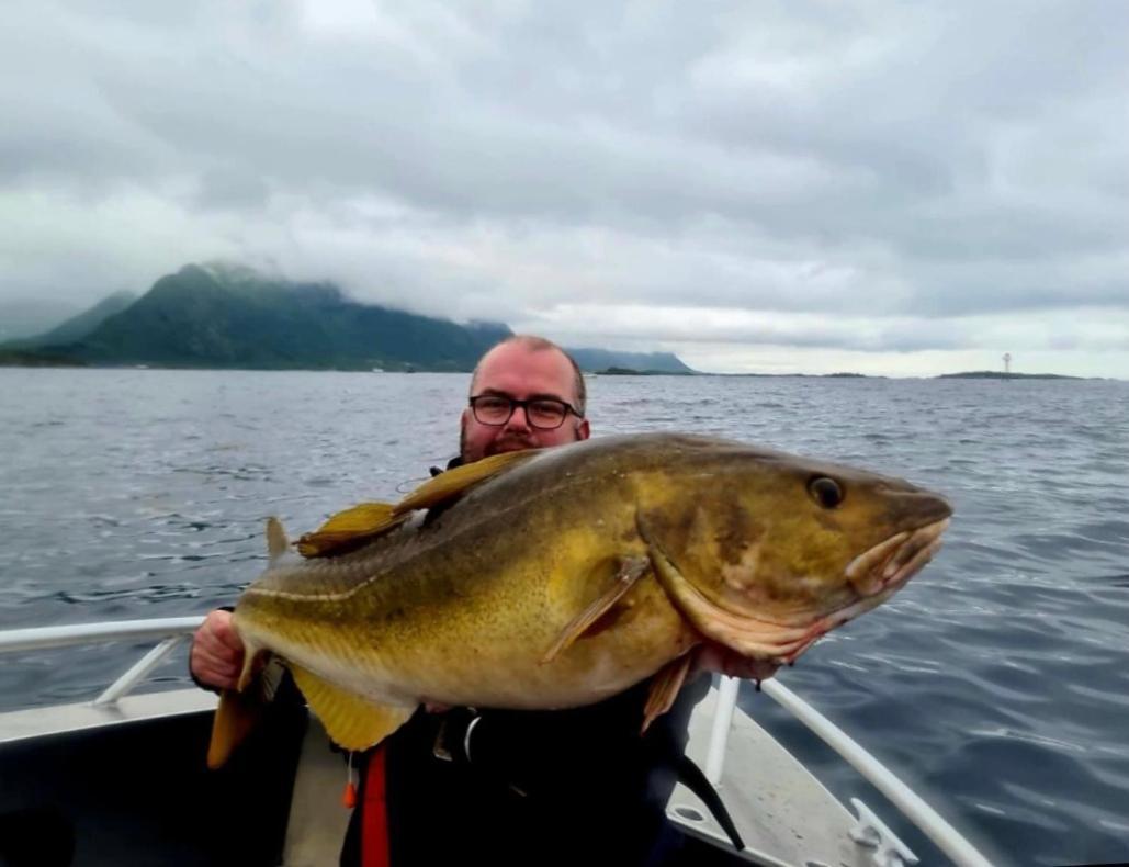 Lofoten And Vesteralen Kveldro Myrland Exteriör bild