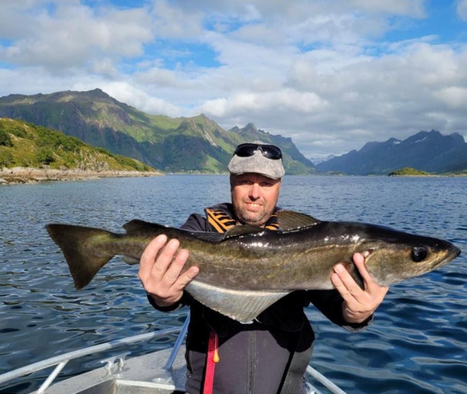 Lofoten And Vesteralen Kveldro Myrland Exteriör bild