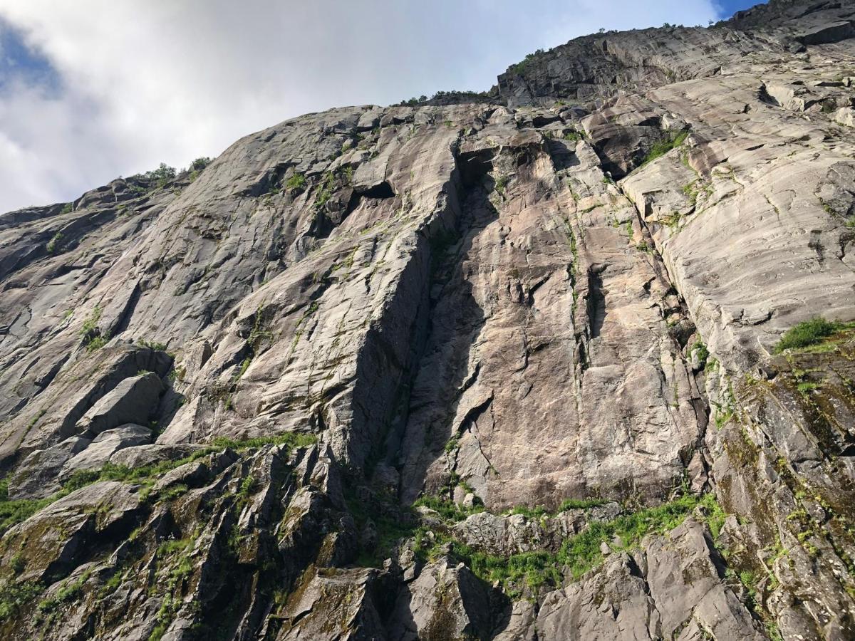 Lofoten And Vesteralen Kveldro Myrland Exteriör bild