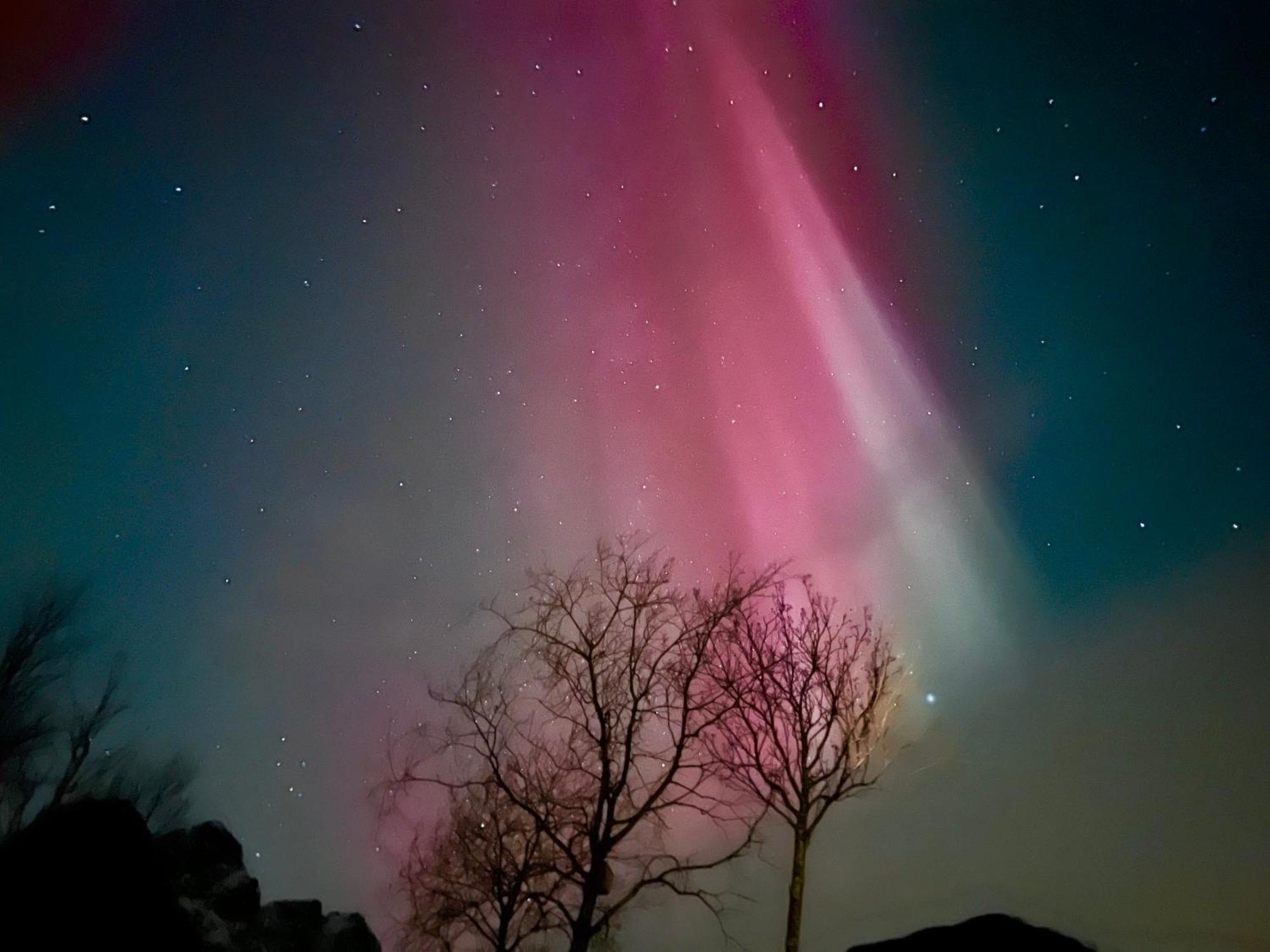 Lofoten And Vesteralen Kveldro Myrland Exteriör bild