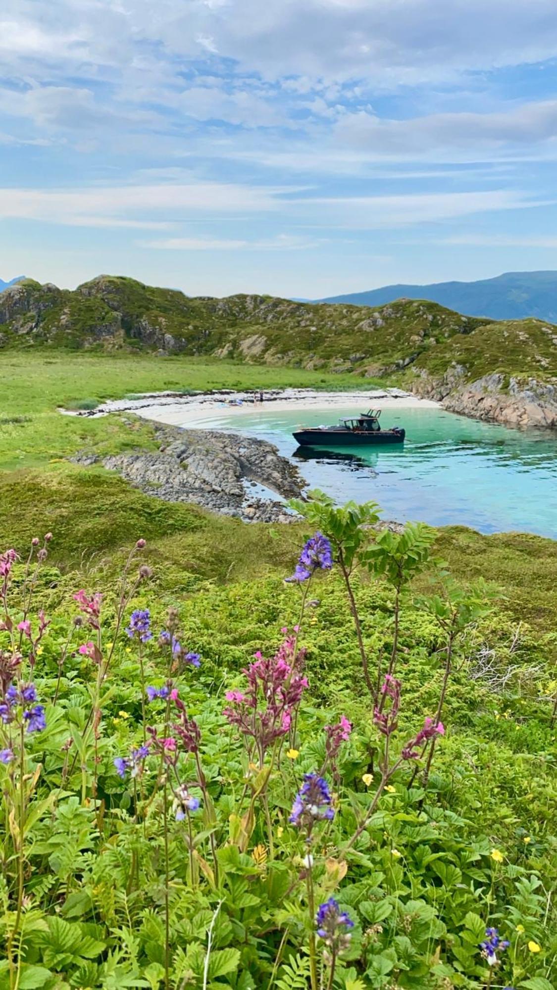 Lofoten And Vesteralen Kveldro Myrland Exteriör bild