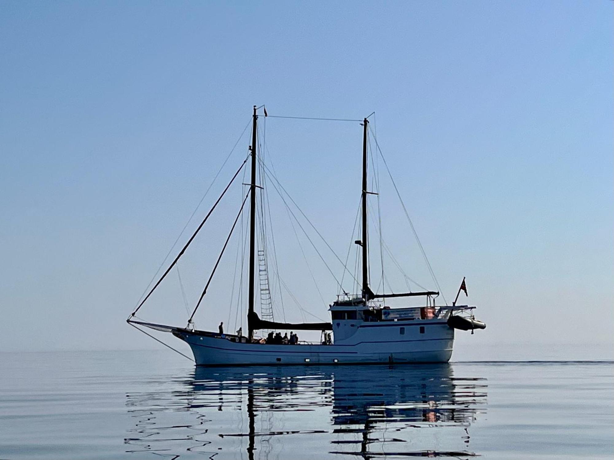 Lofoten And Vesteralen Kveldro Myrland Exteriör bild