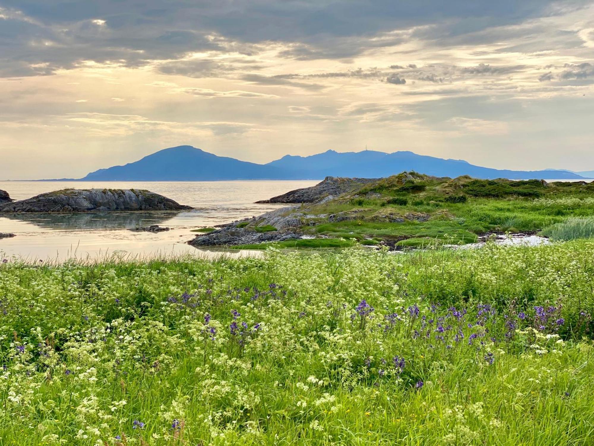 Lofoten And Vesteralen Kveldro Myrland Exteriör bild